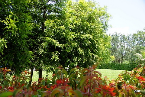 Planting day by danette