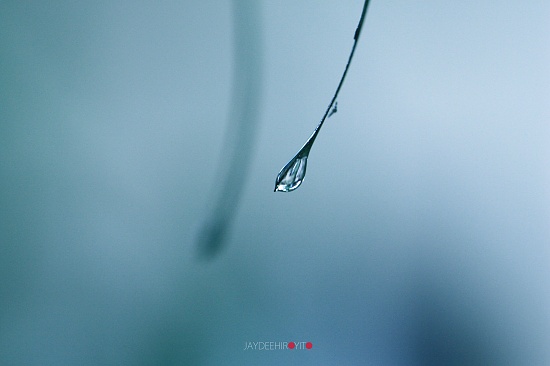 Simple As It Is .....  by gavincci