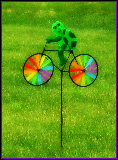 Whimsical by olivetreeann