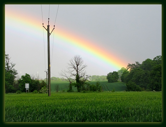 Rainbow by busylady