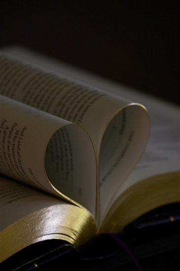 The pages of the heart rest between discovery and love. by sugarmuser