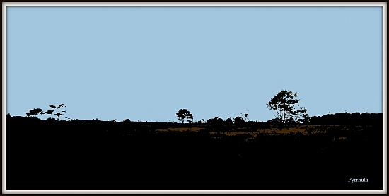 A landscape  by pyrrhula