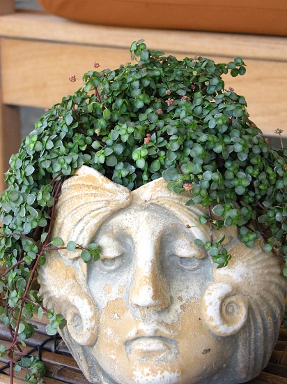 With Flowers in Her Hair by photogypsy