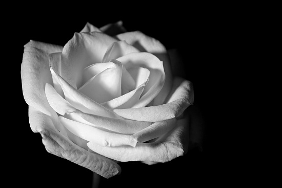 Try, try again... by lauriehiggins