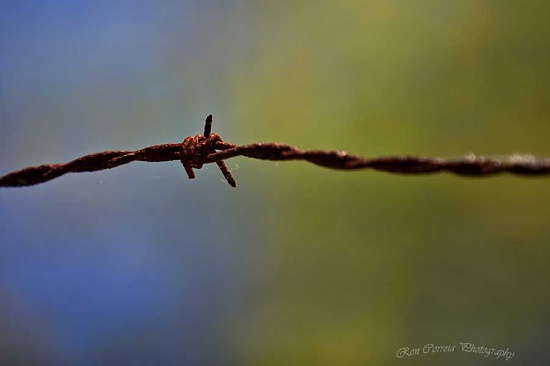 A Subtle Twist by kannafoot
