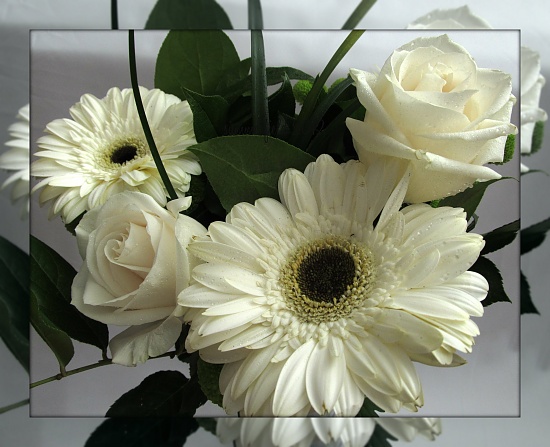 flowers for my honey by summerfield
