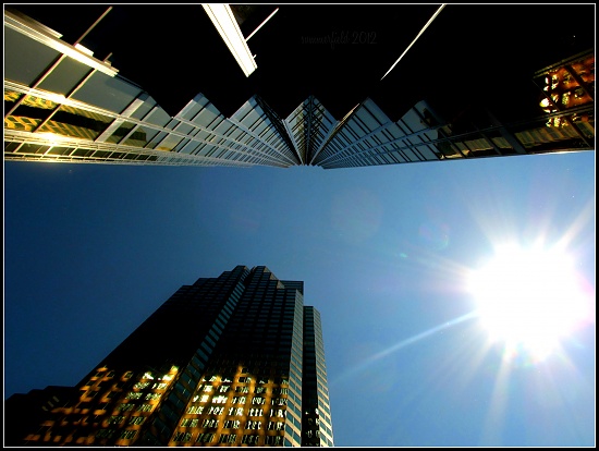 the office tower by summerfield