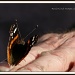 26/06/2012 - Red Admiral