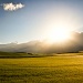 Wiltshire Fields by humphreyhippo