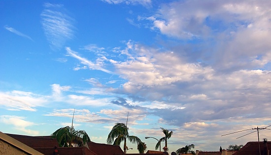 (Day 156) - unsystematic clouds by cjphoto
