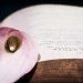 02/08/2012 - End of the Tale