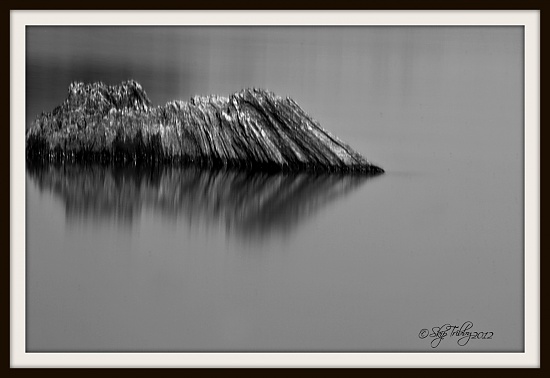 Stump Detail by skipt07