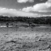03/08/2012 - Cranky Flat