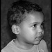 04/08/2012 - "A perfect summer day to a little boy means a scrape on the knee, mud on his face and collecting bugs in the garden." 