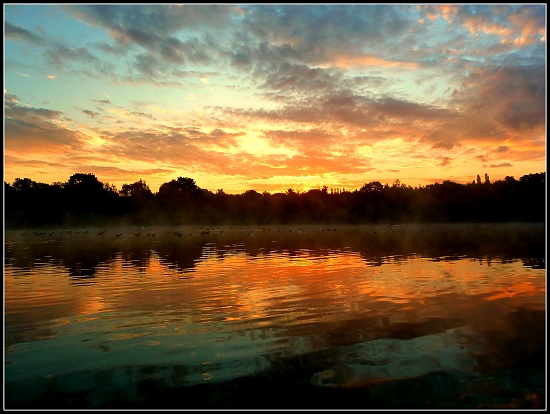 Swan Lake by tonygig