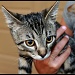 05/08/2012 - Scout