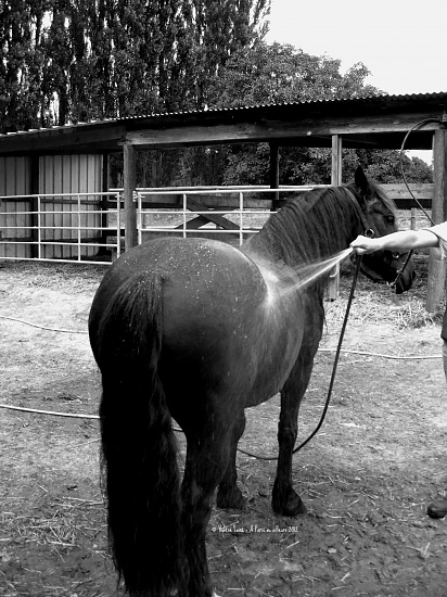 Shower time by parisouailleurs