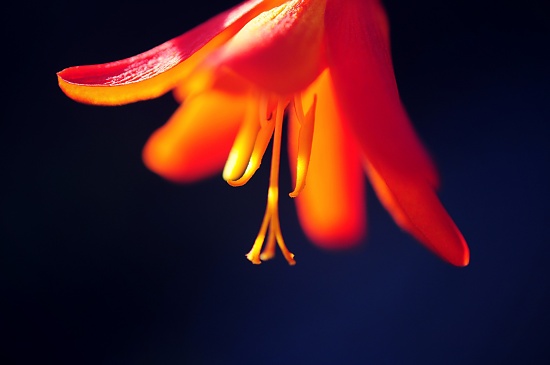 Shine Down. by naomi