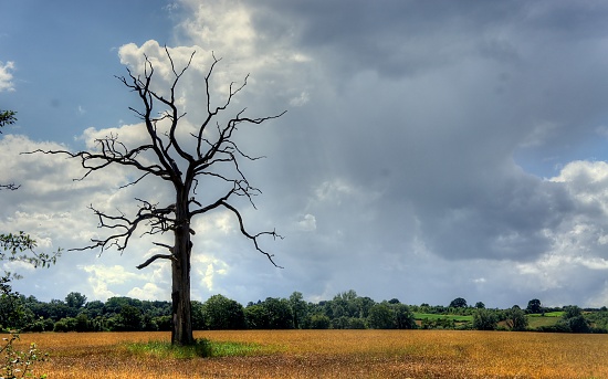 Storm coming by boxplayer