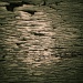 12/08/2012 - Peeling Paint