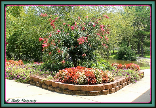 Flowers in the Park by vernabeth