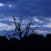 09/08/2012 - Blue sky at night
