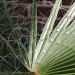 10/08/2012 - Hairy Situation