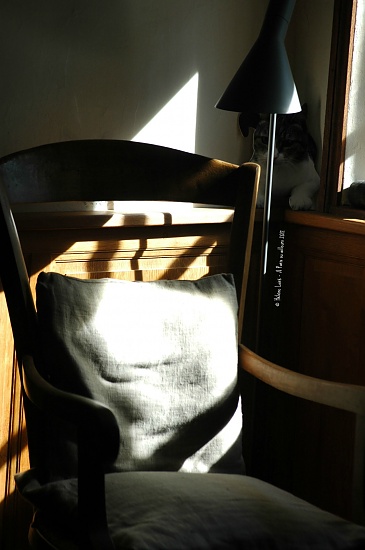 Morning sun in the living room by parisouailleurs