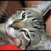 12/08/2012 - Contentment