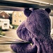 16/08/2012 - Click!