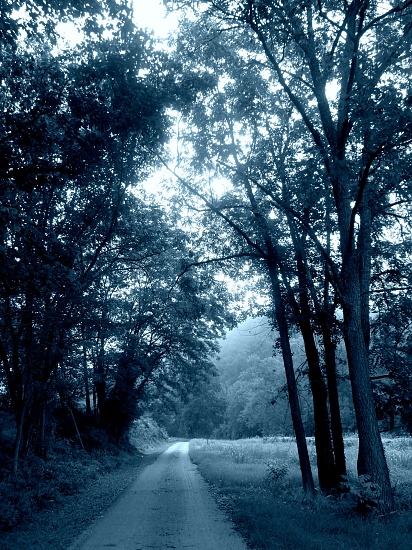 Morning Blues by calm