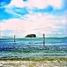 17/08/2012 - Minnamurra