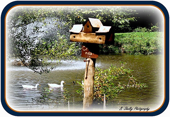 Rustic Birdhouse by vernabeth