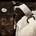 20/08/2012 - The Bag on the Wall