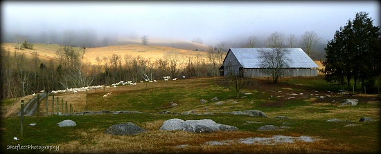 Farm Scene by calm