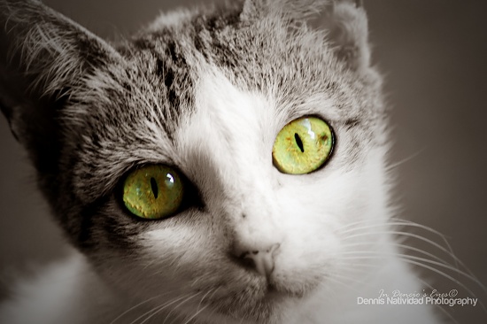 One Look by iamdencio
