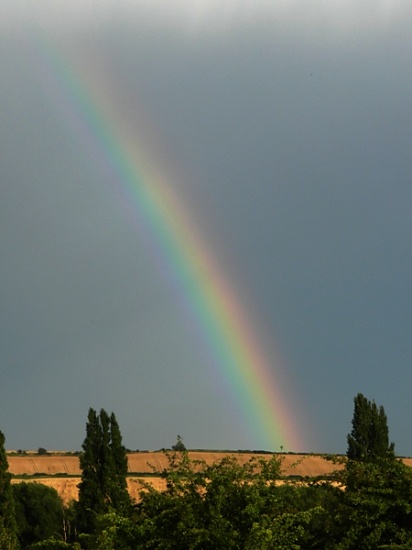 Gold at the End of the Rainbow by if1