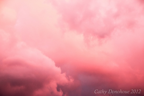 Sailor's Delight by cdonohoue
