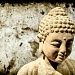 23/08/2012 - Buddha