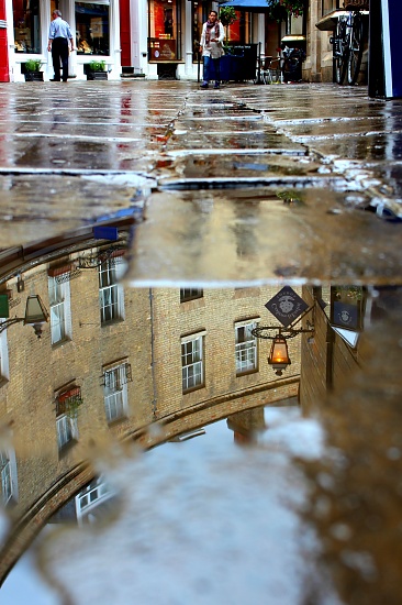 Rose Crescent by judithg