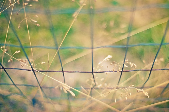 Wire intersections by kwind