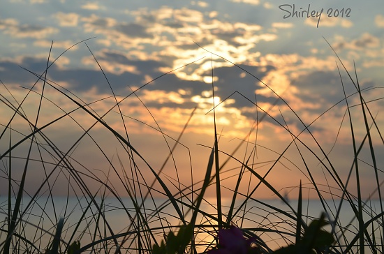 sunset at the beach by mjmaven