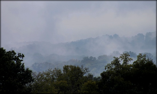 Rainy Days and Mondays  by cjwhite