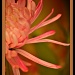 20/09/2012 - Mums The Word