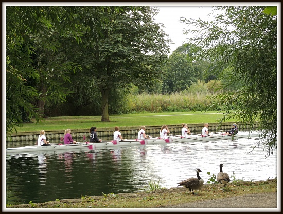 Rowers by rosiekind