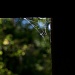 27/09/2012 - Web on the Bridge Rails