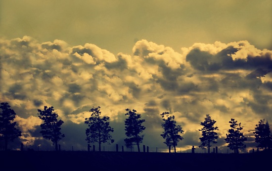 evening horizon by edie
