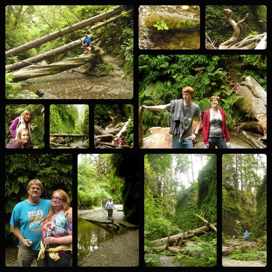 Fern Canyon on 365 Project