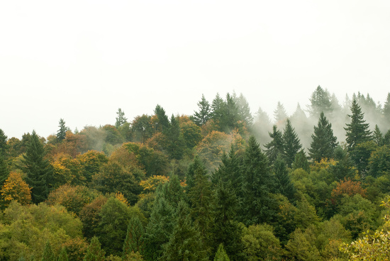 Fall Comes to the Hillside by vickisfotos