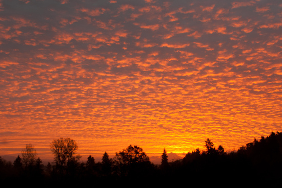 Magnificent Dawn by vickisfotos